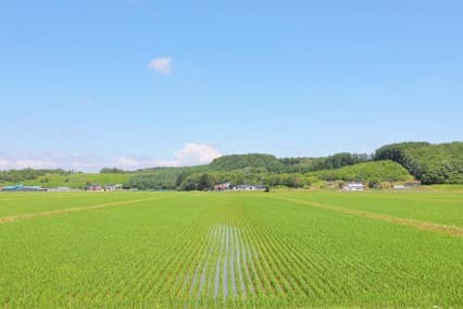 厚真町の広大な田園風景
